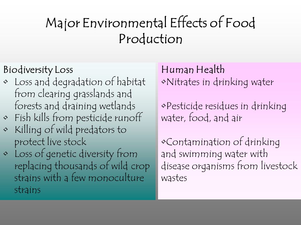 Food production and the loss of